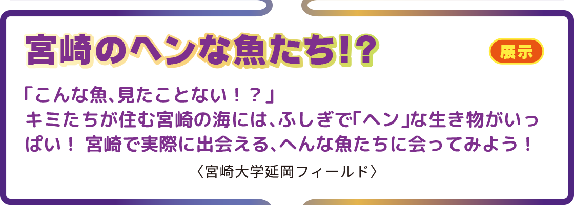 宮崎のヘンな魚たち!?